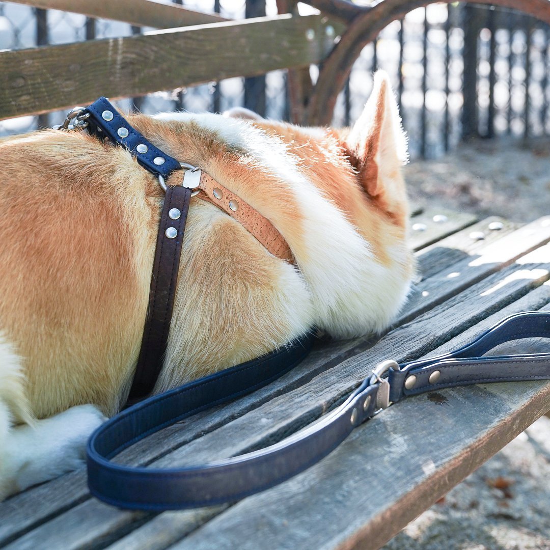 Austin Cork Dog Harness - Image 2