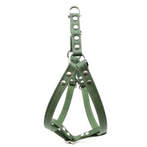 Forest Waxed Canvas Dog Harness