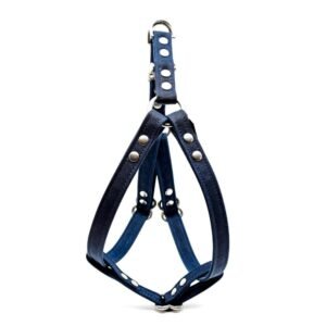 Midnight Waxed Canvas Dog Harness