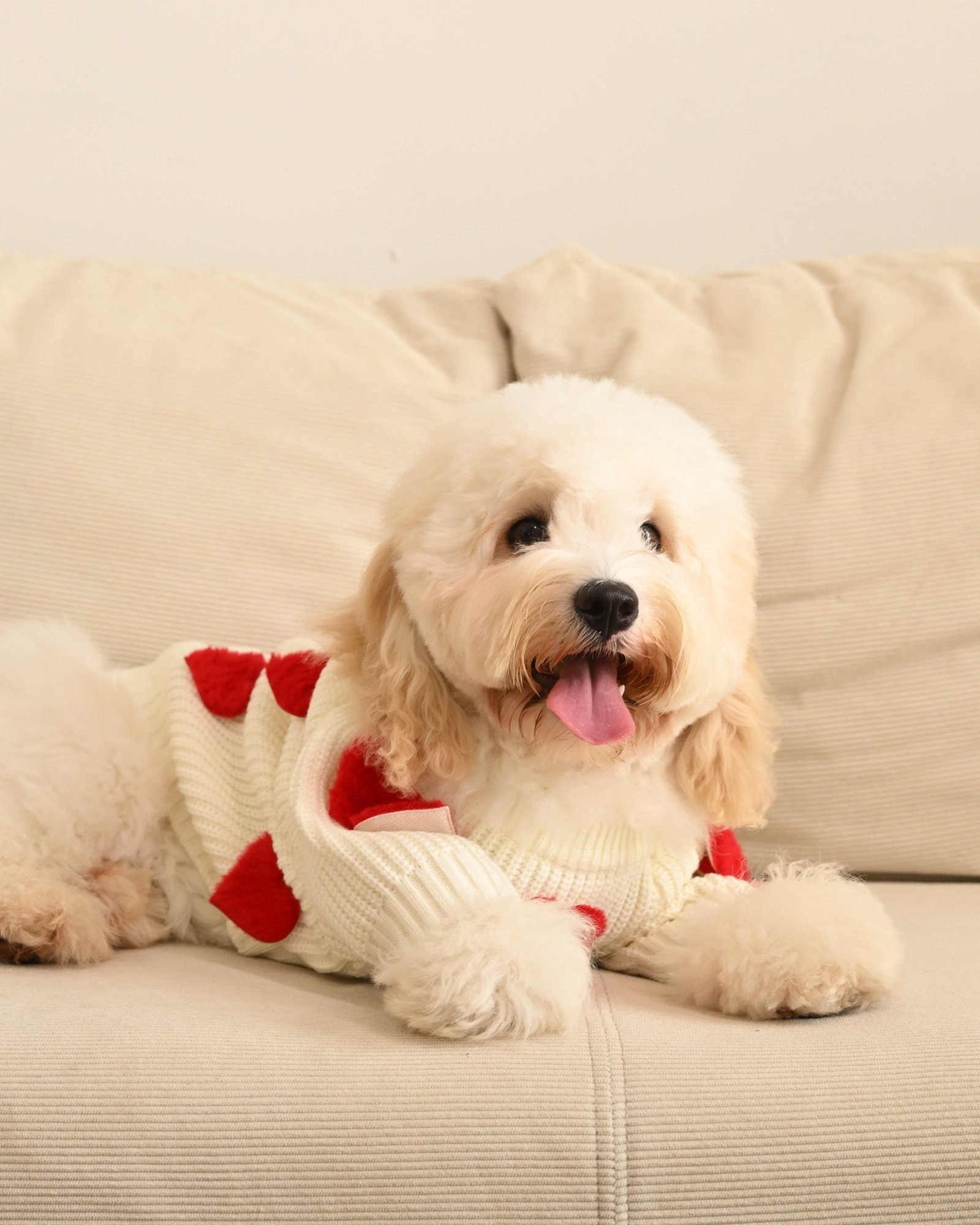 Cream Heart-3D Motif Pet Sweater - Image 3
